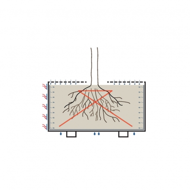 Treetec Basic